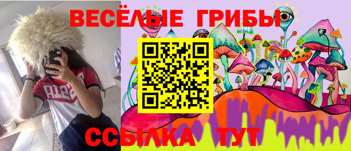Псилоцибиновые грибы GOLDEN TEACHER Чебаркуль